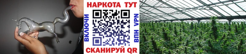 Наркошоп купить Гашиш  Каннабис  Меф мяу мяу  Чегем