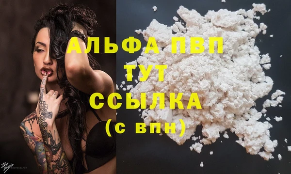 мяу мяу мука Магас