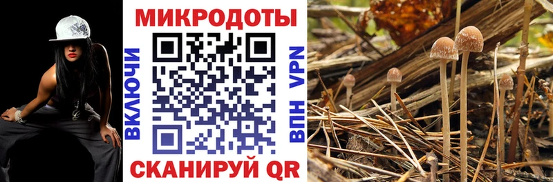 Псилоцибиновые грибы GOLDEN TEACHER  Купить  Чегем 